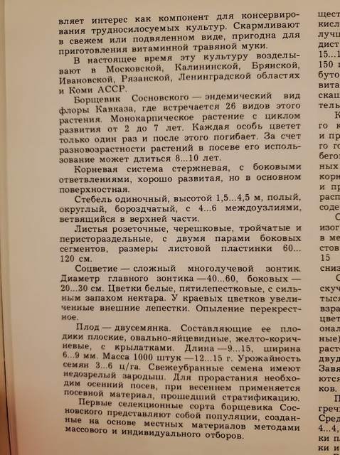 Страница книга: описание борщевика сосновского