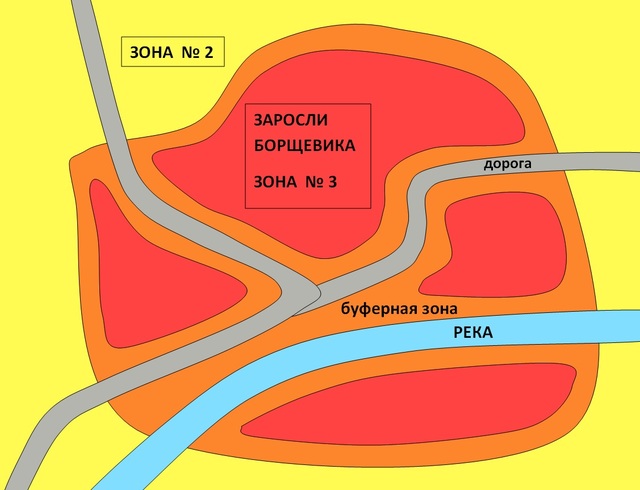 Зонирование зарослей борщевика