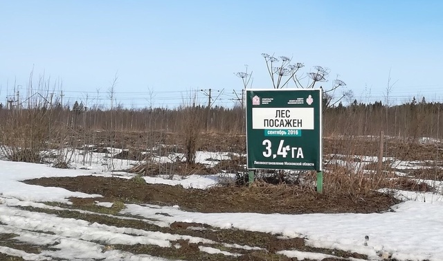 Объявление о посадке леса (борщевик на заднем плане)