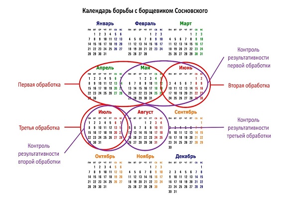 Календарь работ по борьбе с борщевиком включая повторные обработки