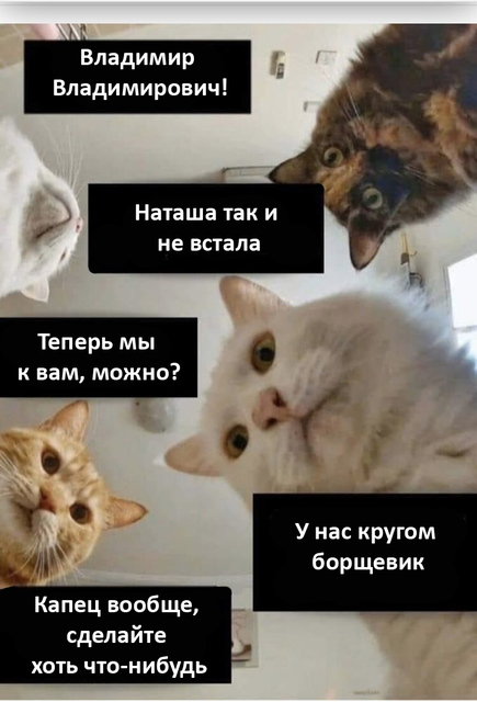 Путин вставай у нас борщевик