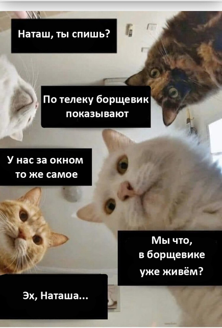 Наташа, вставай, кругом борщевик сосновского