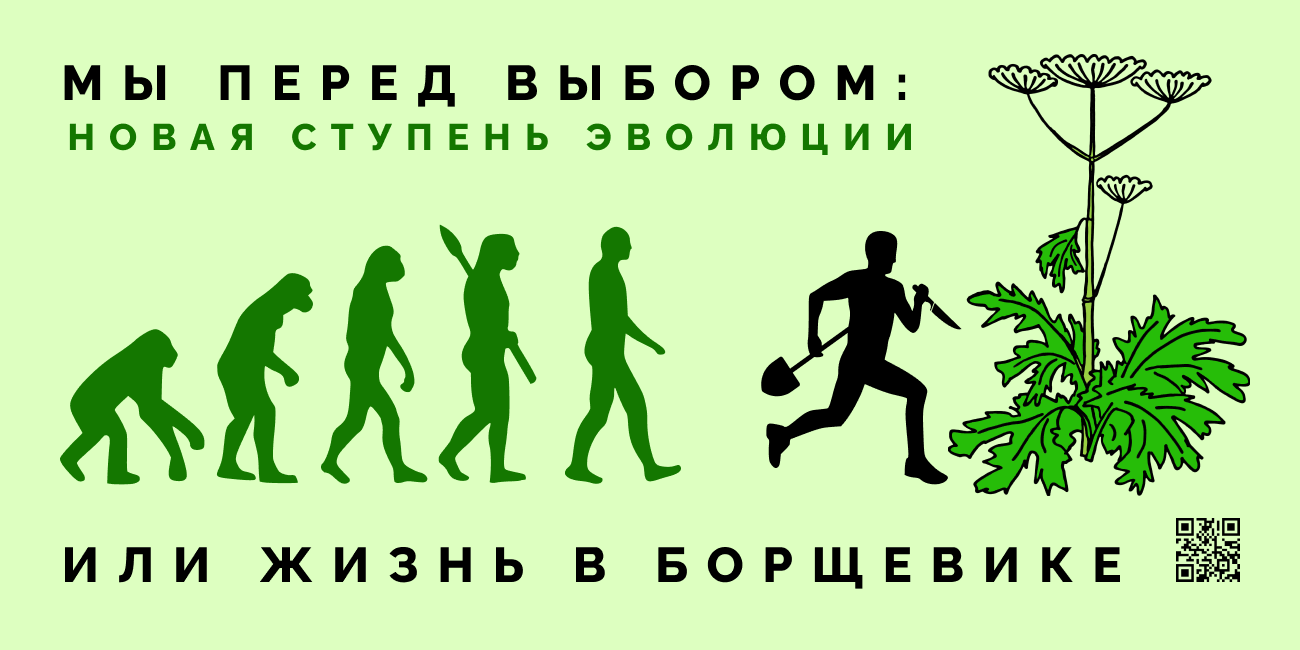 Баннер - Новая ступень эволюции или жизнь в борщевике