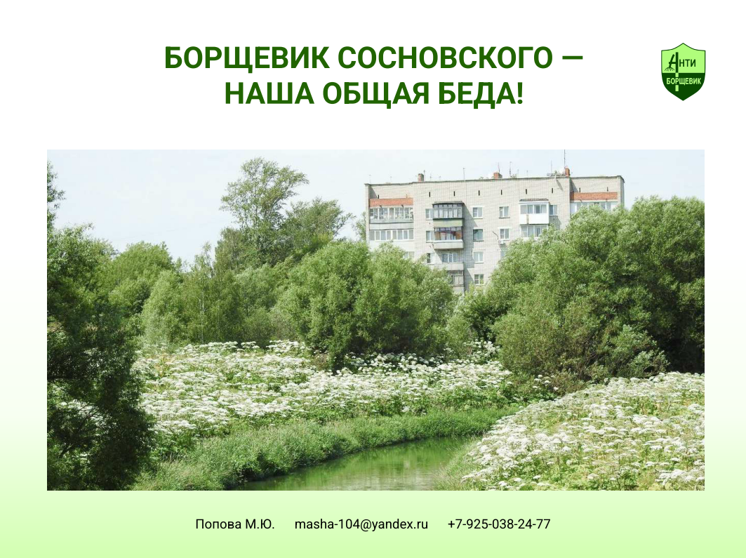 Доклад про борщевик - презентация 