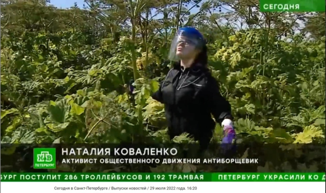Наталия Коваленко и борщевик